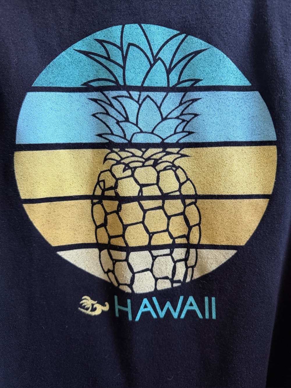 Honolua Wahine Hawaii Pineapple Zip Up Hoodie Women’s XXL Black NWOT